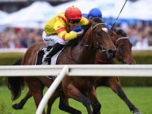 Legend Of Condor in first 3yo stakes race
