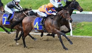 Stonybreck continues synthetic form