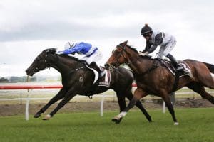 Sacred Satono primed for massive spring