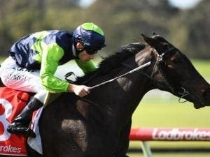 Declarationofheart impresses at Sandown