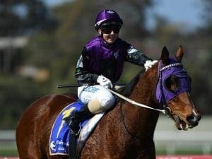 Milestone city win for Darose and Doodt