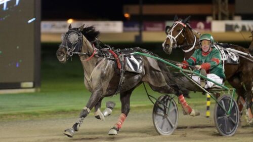 Santapaziena-Roydon-Downey-Alex-Park-Jul