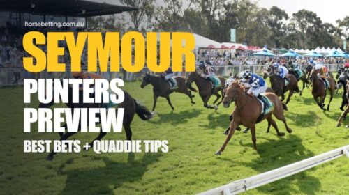 Seymour-Punters-Preview-New-1024x650-1-5