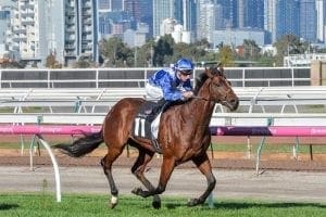 Toorak Handicap the target for Sovereign Nation