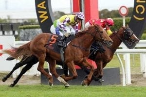 Te Rapa