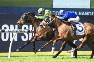 Retirement plans on hold for Rosehill winner