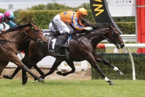 Trobriand set to return in Northland Breeders' Stakes