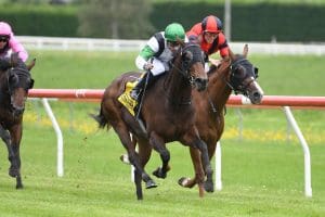Val Di Zoldo with New Zealand Cup Carnival on radar
