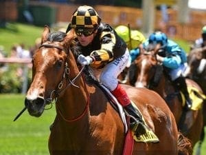 Behemoth wins Group 3 Spring Stakes in stewards room