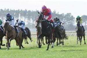 Verry Elleegant caps top weekend for Bishara