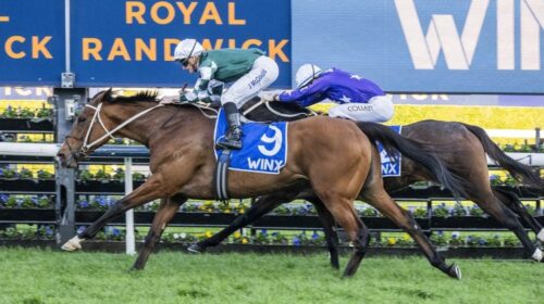 Via-Sistina-Winx-Stakes-1024x683-1-500x2