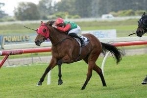 Vinevale in search of coveted black-type