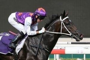 Interesting Affair awaits new Marsh runner
