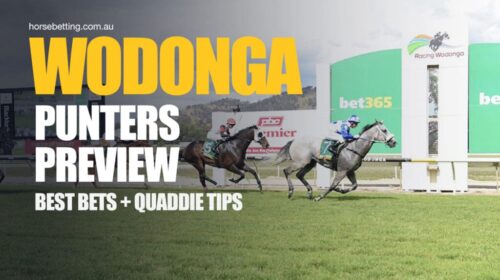 Wodonga-Punters-Preview-1024x650-1-500x2