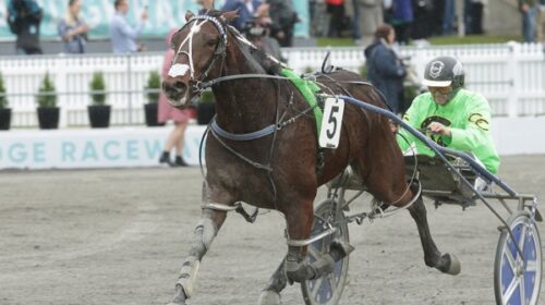 akuta-harness-jewels-blog-image-v4__Resi