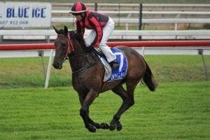 Bonnie Sare at Tamworth