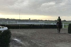 Horse training centre at Cranbourne, Victoria