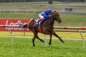 Esperance wins at Sandown