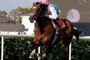 British champion Frankel