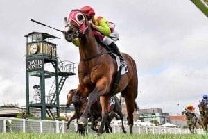 Kobayashi racehorse