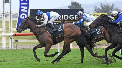 Tajana-Ruakaka-Therese-Davis-500x280.jpe