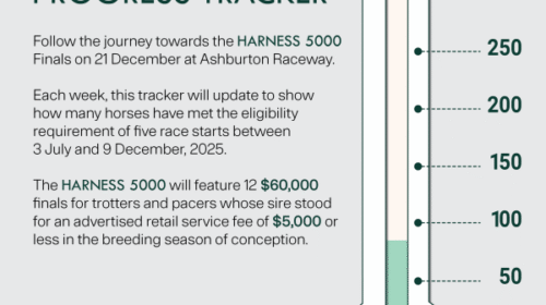 Thermometer_Harness-5000_Dave-01-1__Resi